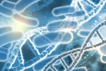 Probiotique pour maigrir