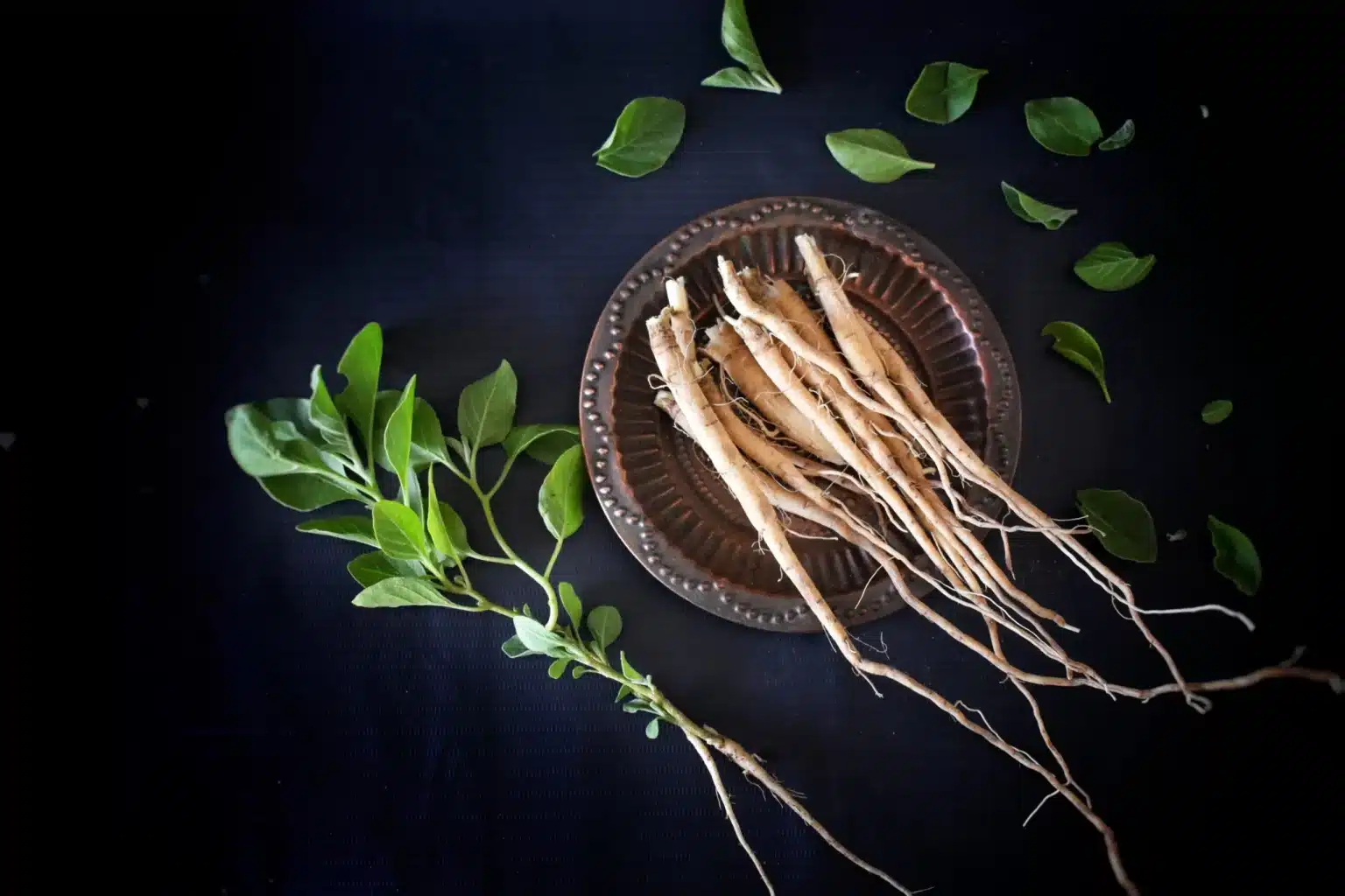 Tout savoir sur l’ashwagandha : Ses bienfaits, les dangers et la posologie ashwagandha