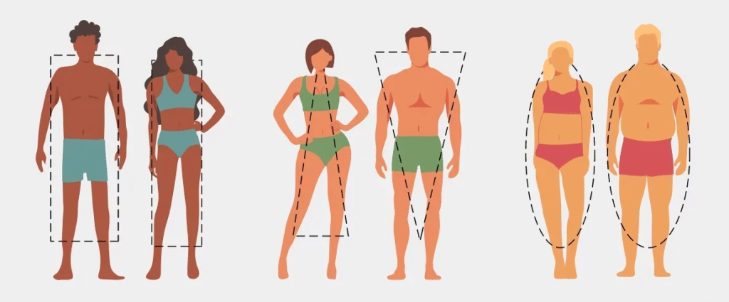 Comment déterminer son morphotype ? déterminer son morphotype